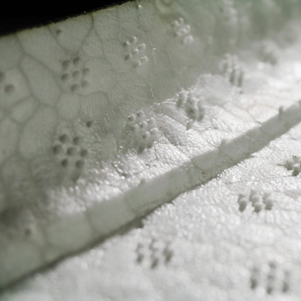 Close up image showing the foam that is used in the midsole of the boot.