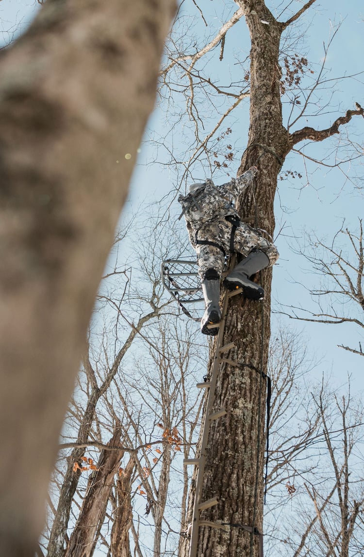A man in gray boots ascending a tree