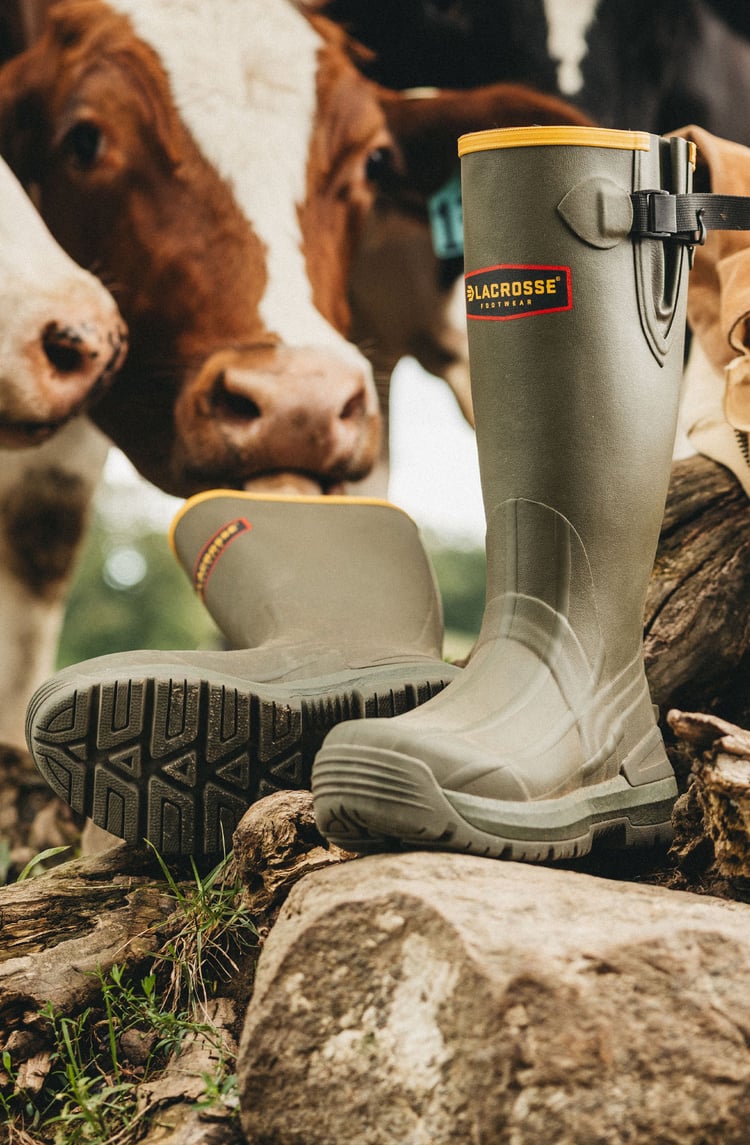 cows are mesmerized by the aeroform technology