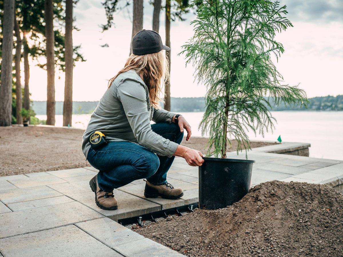 Women's Vicious 4" Brown/Green NMT