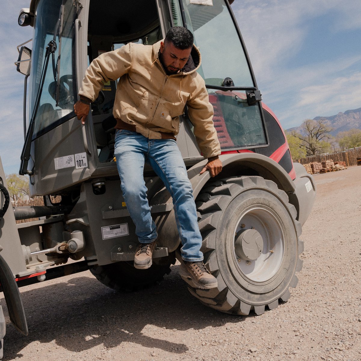 Wheat Ridge 4.5" Brown/Olive