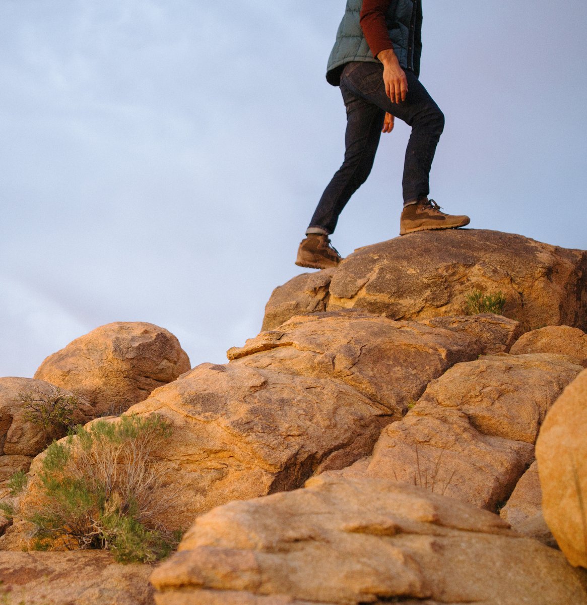 Danner - Skyridge Dark Earth