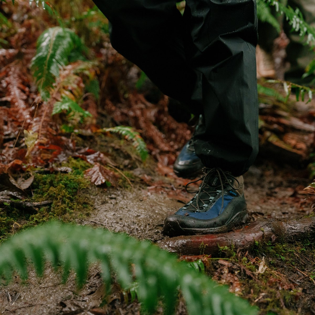 N45 Mid GTX Jet Black/Imperial Blue