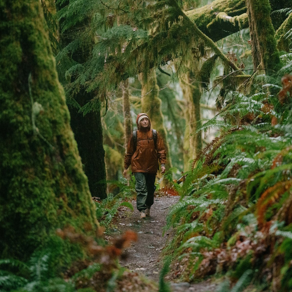 N45 Mid GTX Desert Dusk