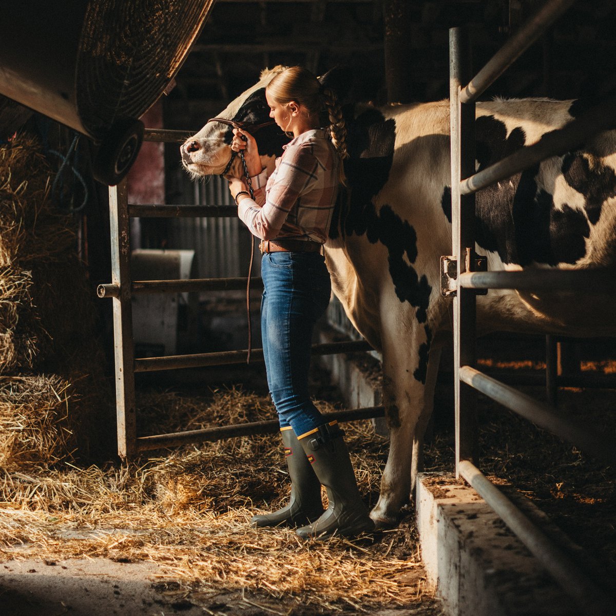 Women's Burly Aero 15" Dark Olive