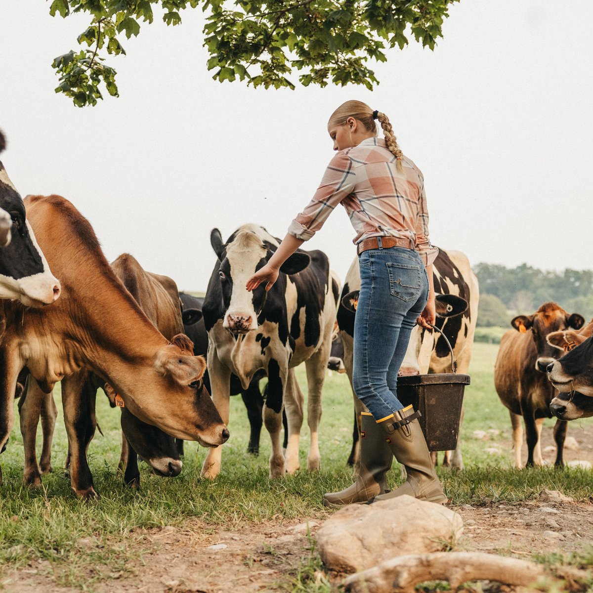 Women's Burly Aero 15" Dark Olive