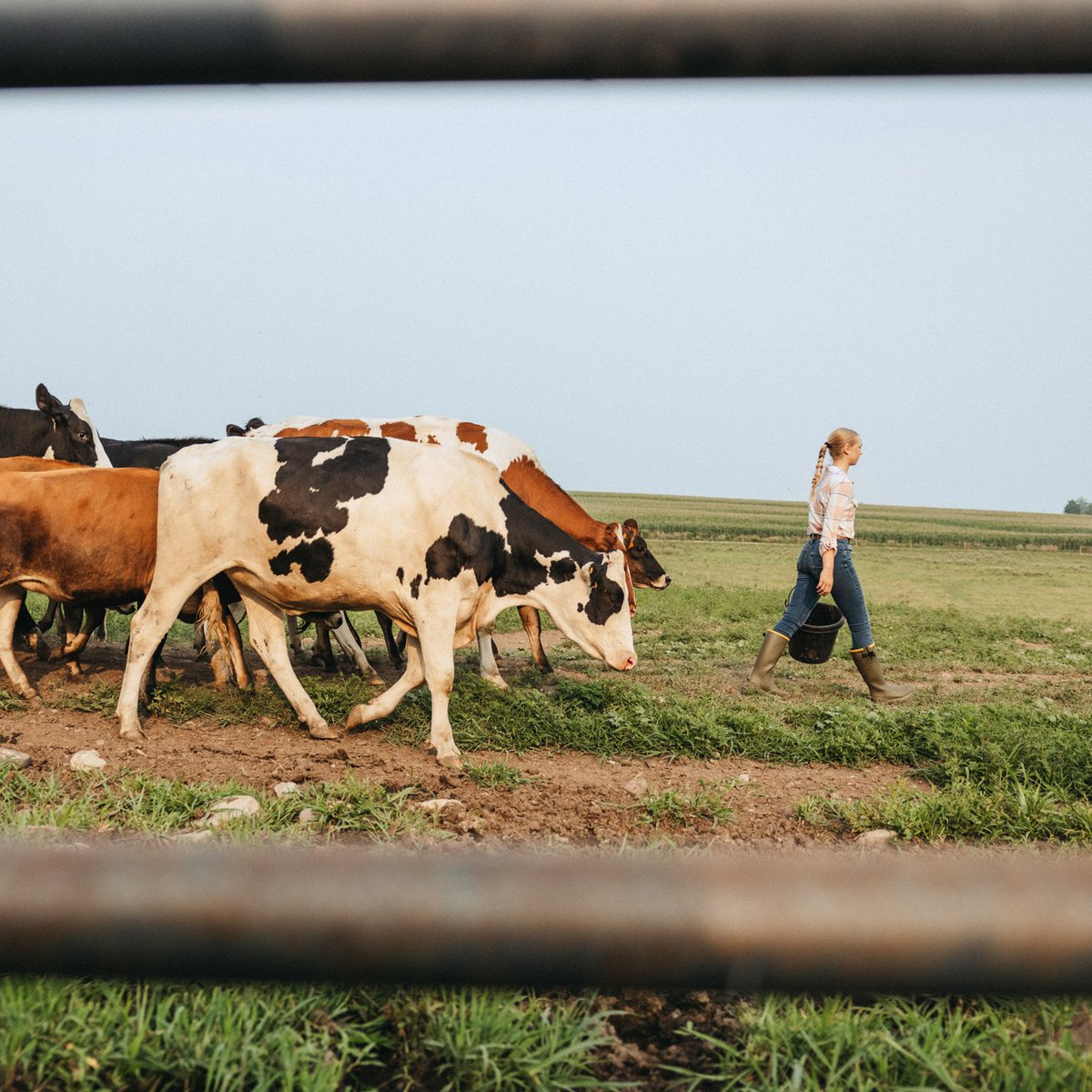 Women's Burly Aero 15" Dark Olive
