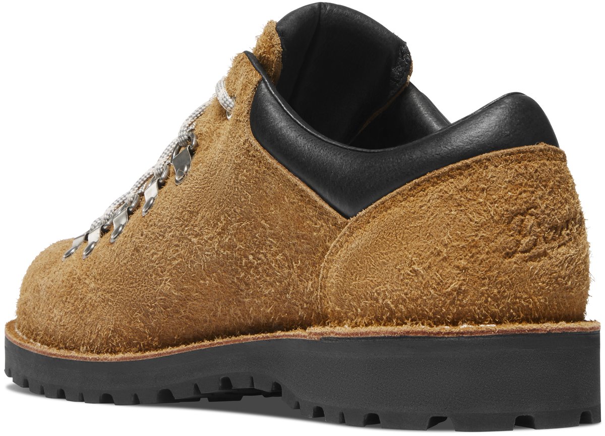 Men's Trail Field ID Low GTX Cascade