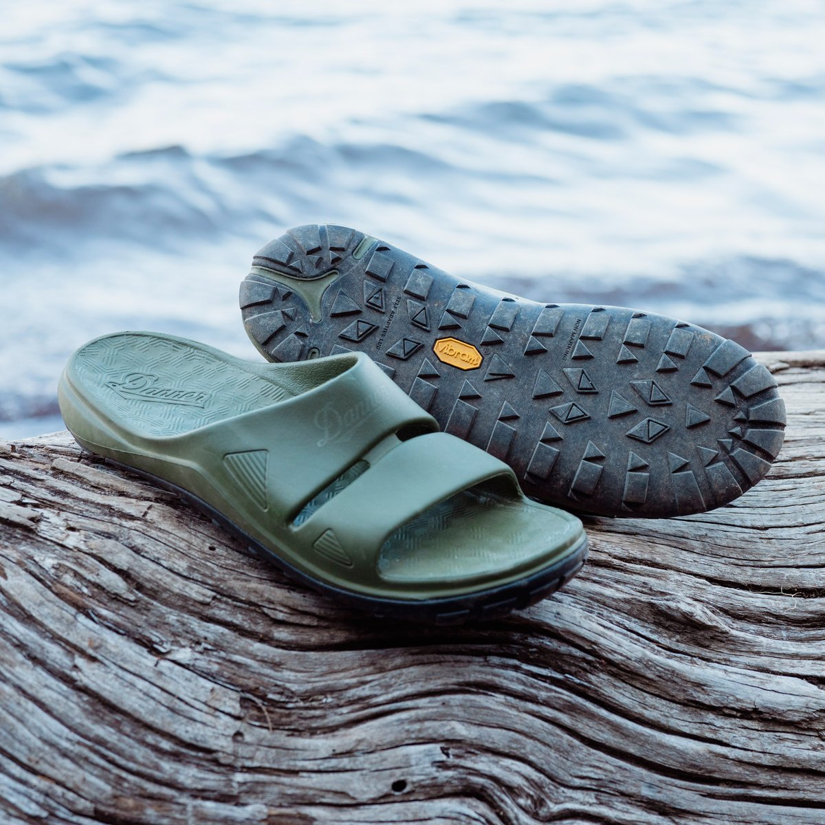 Shelter Cove Slide Forest