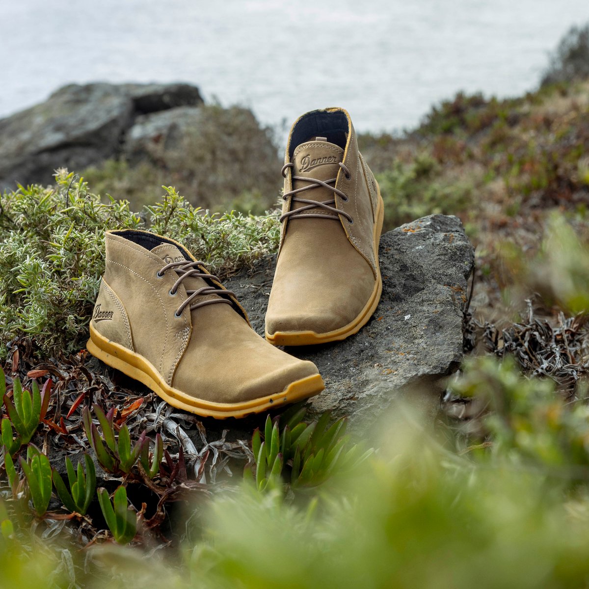 Forest Chukka Timberwolf
