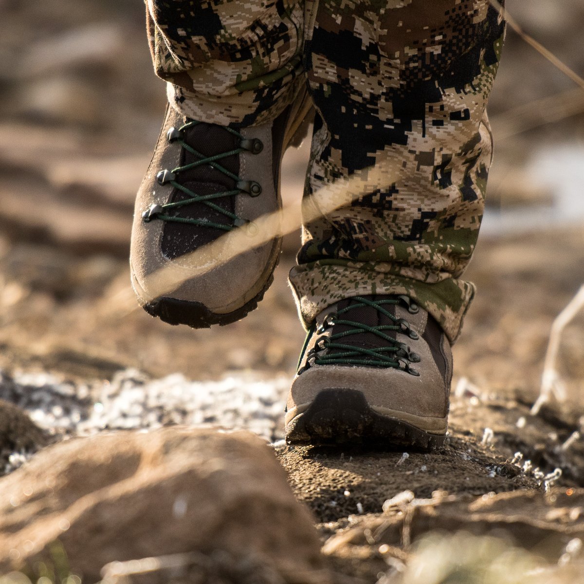 Women's Wayfinder 8" Brown