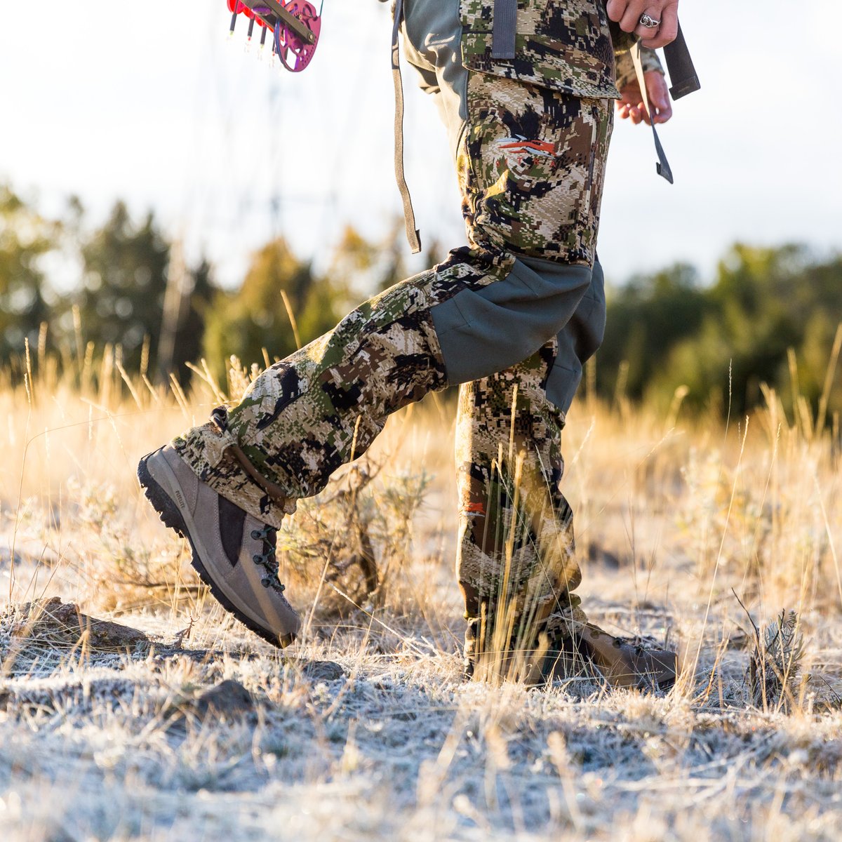 Women's Wayfinder 8" Brown