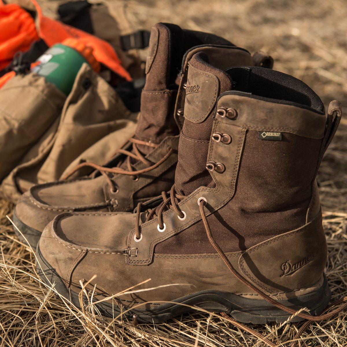 Sharptail 8" Dark Brown