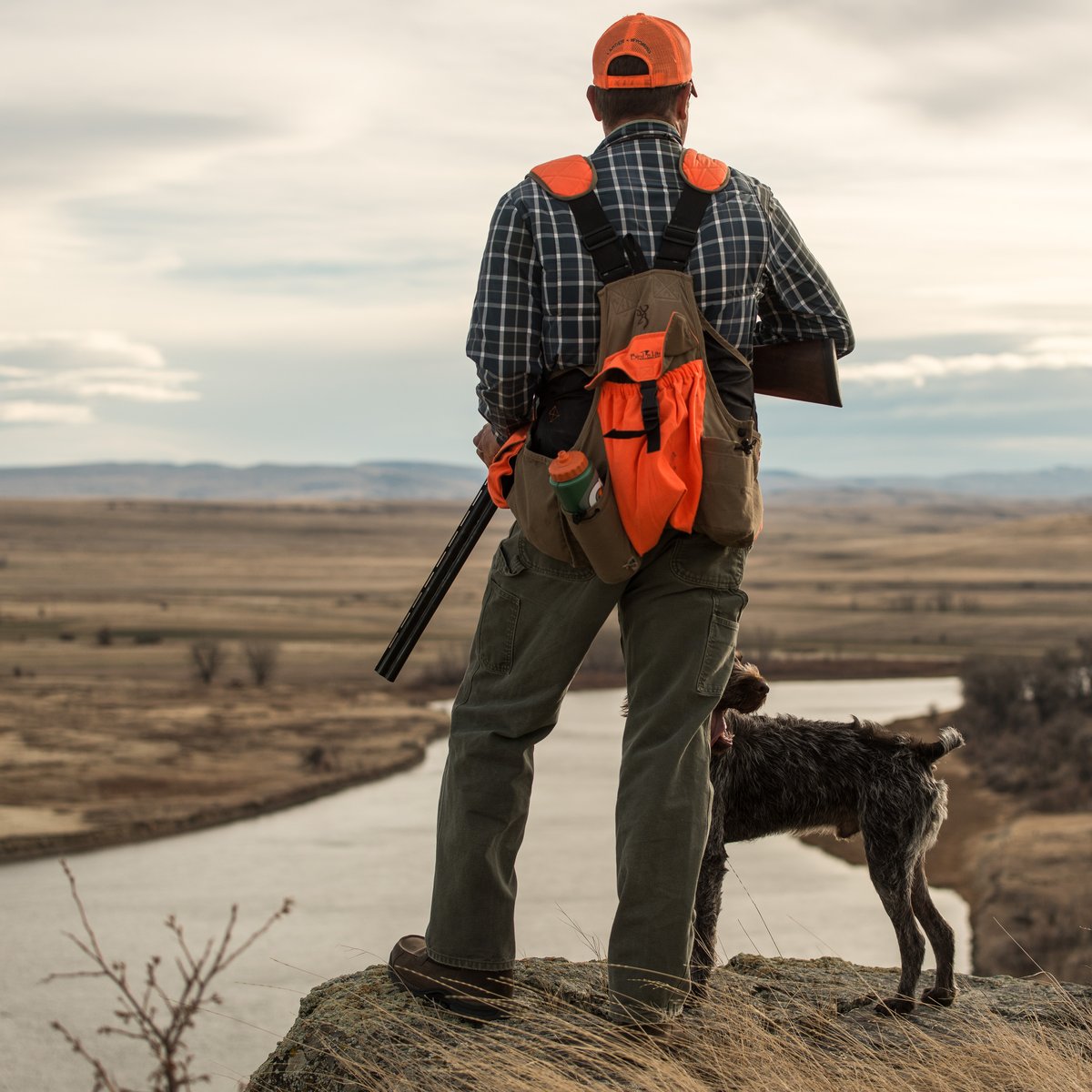 Sharptail 8" Dark Brown