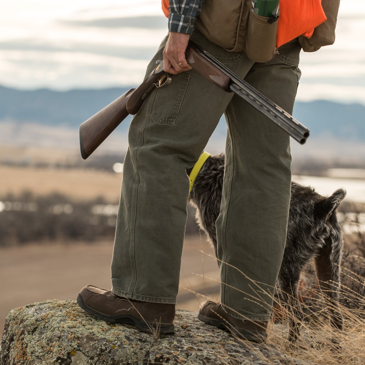 Sharptail 8" Dark Brown