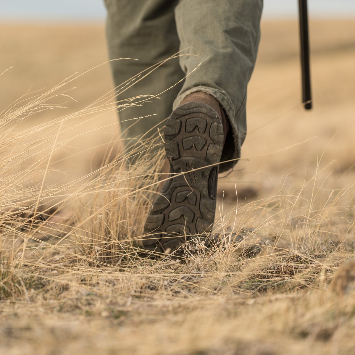 Sharptail 8" Dark Brown
