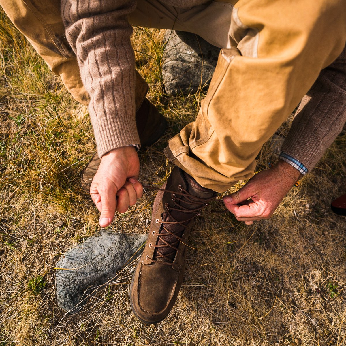 Sharptail 8" Dark Brown