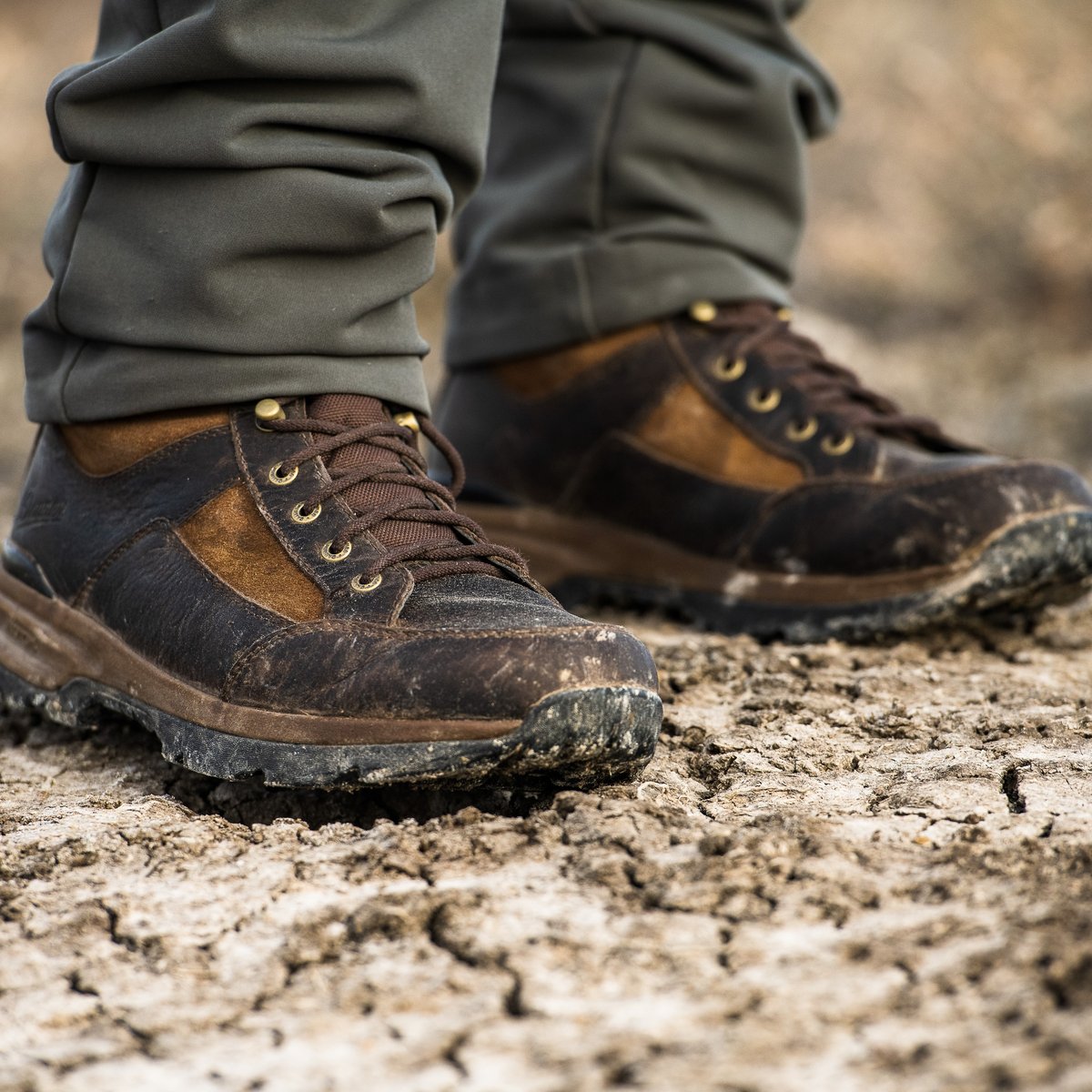 Danner Wistral Field ダークブラウン 25cm Danner Wistral Field ダークブラウン 25cm