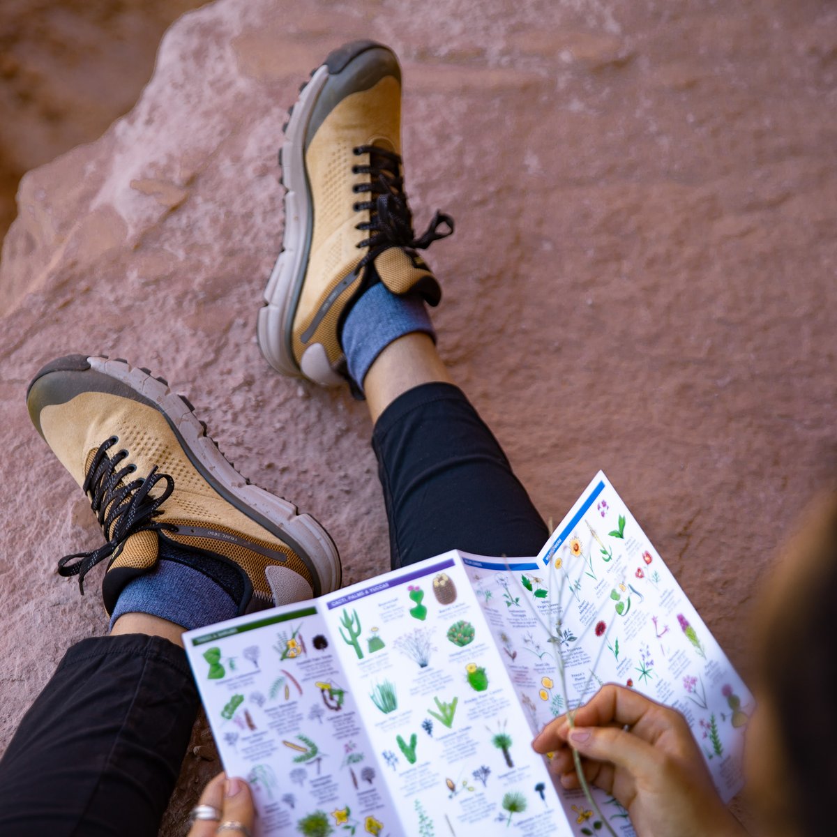 Trail 2650 3" Prairie Sand/Gray GTX