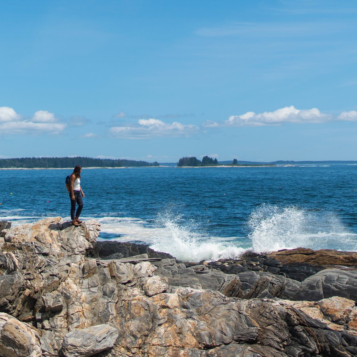 Women's Panorama Mid 6" Brown/Red