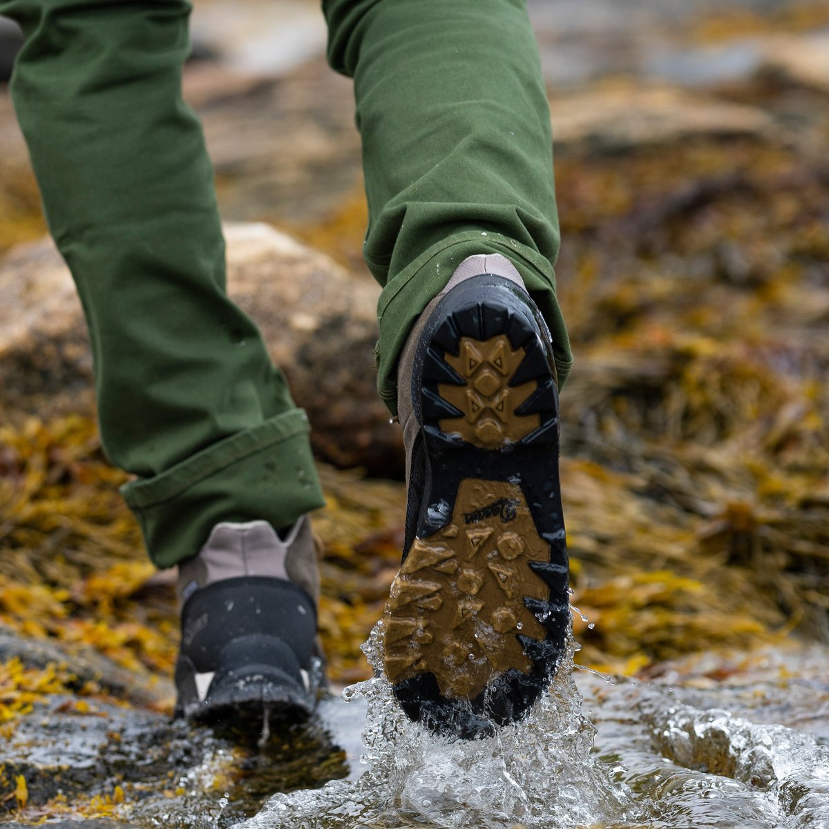 Danner - Panorama Mid 6