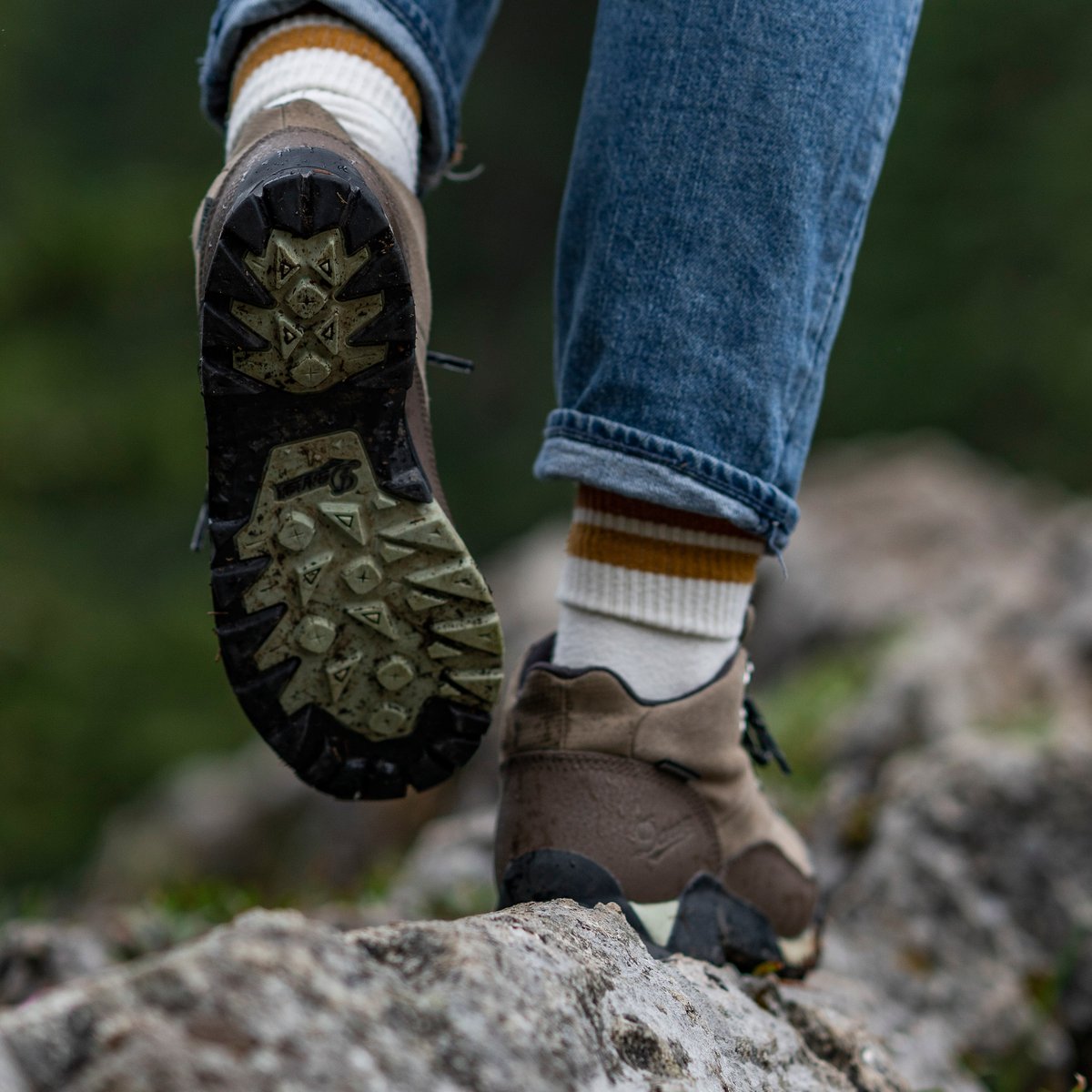 Women's Panorama Mid 6" Gray