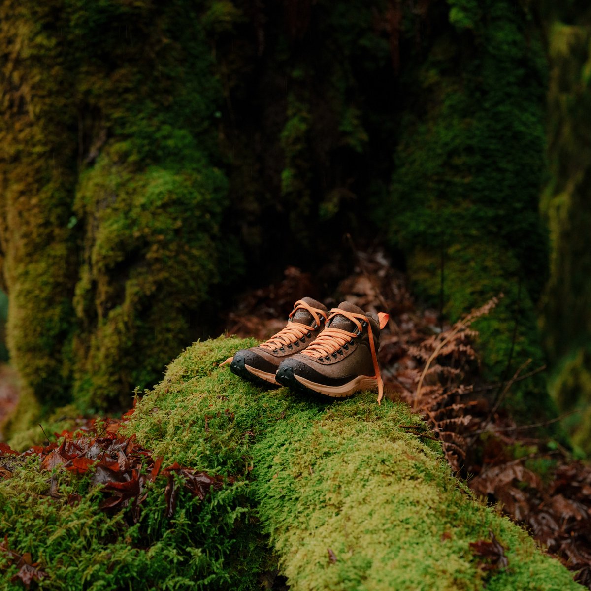 Trail Trainer Mid 4" Malt Brown/Orange Peel