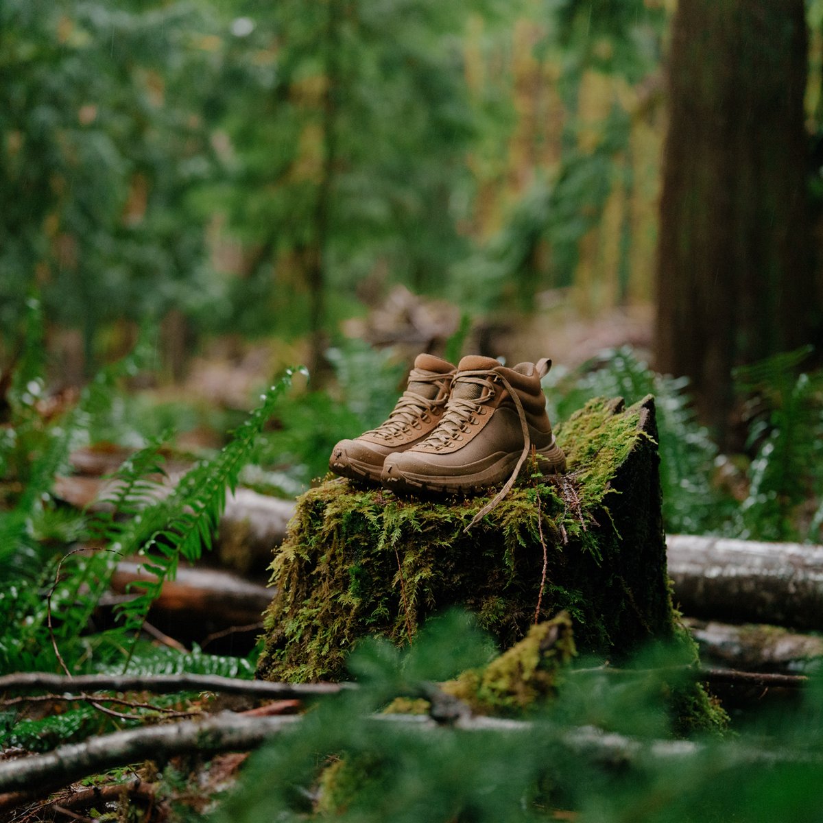 Trail Trainer Mid 4" Coyote