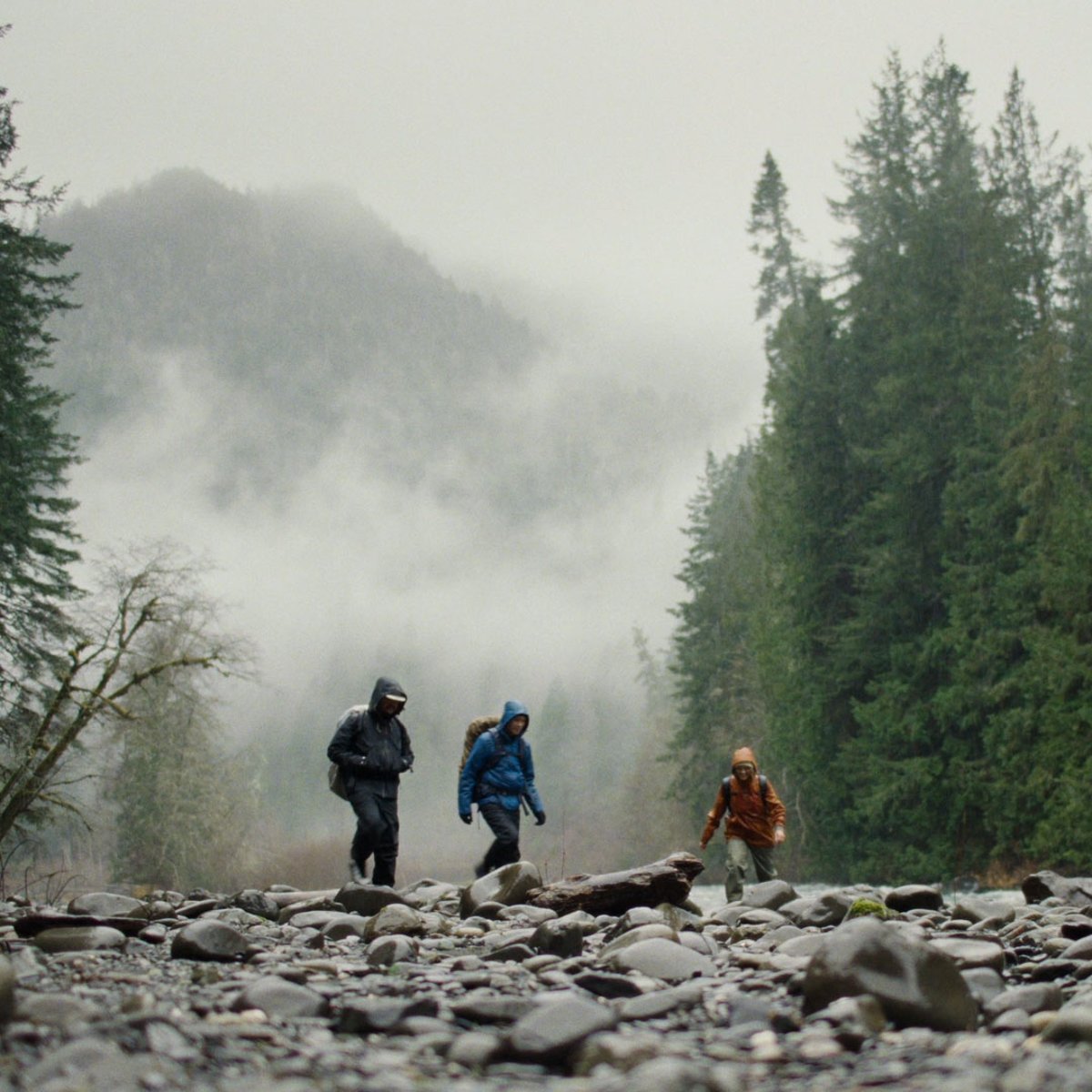 N45 Mid GTX Trillium Thumbnail