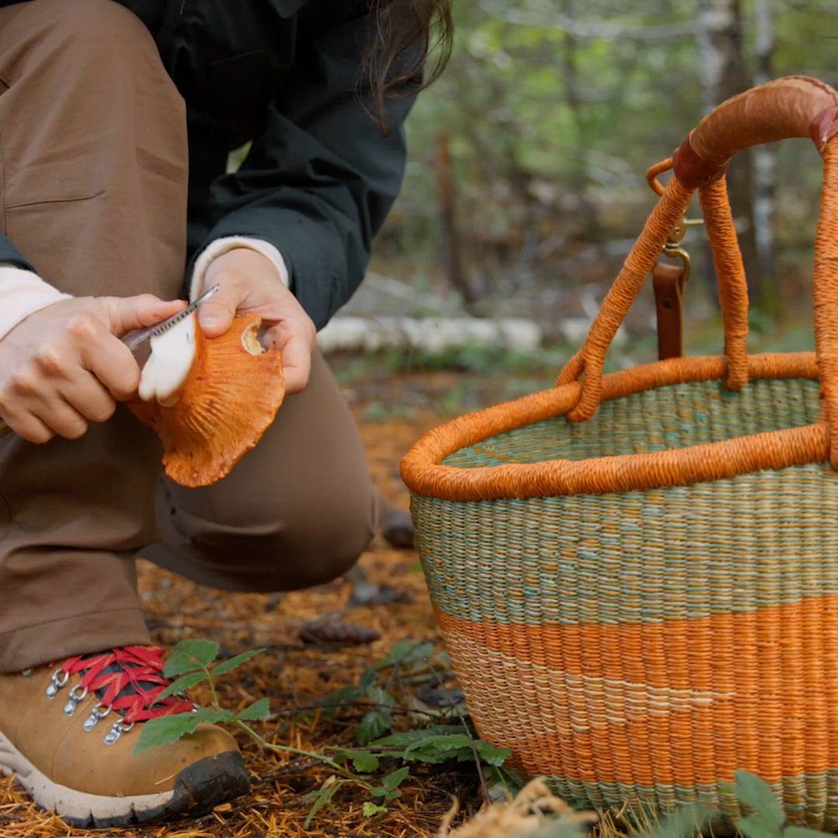 Woodsman 2L GTX Jacket Ermine Thumbnail