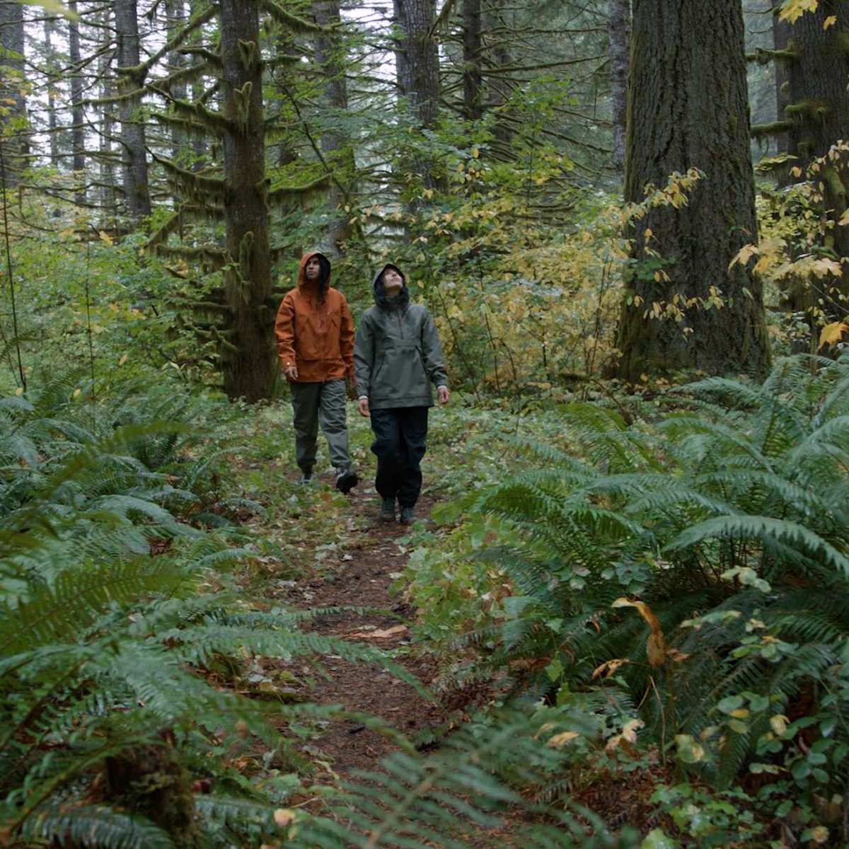 Cascade Crest Packable 3L GTX Rain Pants Dusty Olive Thumbnail