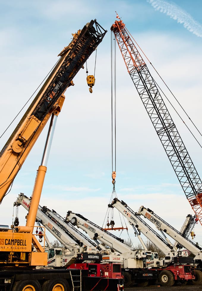 rows of cranes