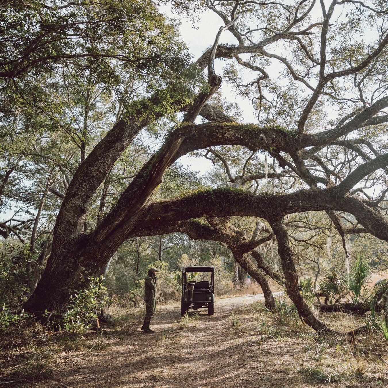 a man adorned in camo climbs up a tree while wearing rubber boots