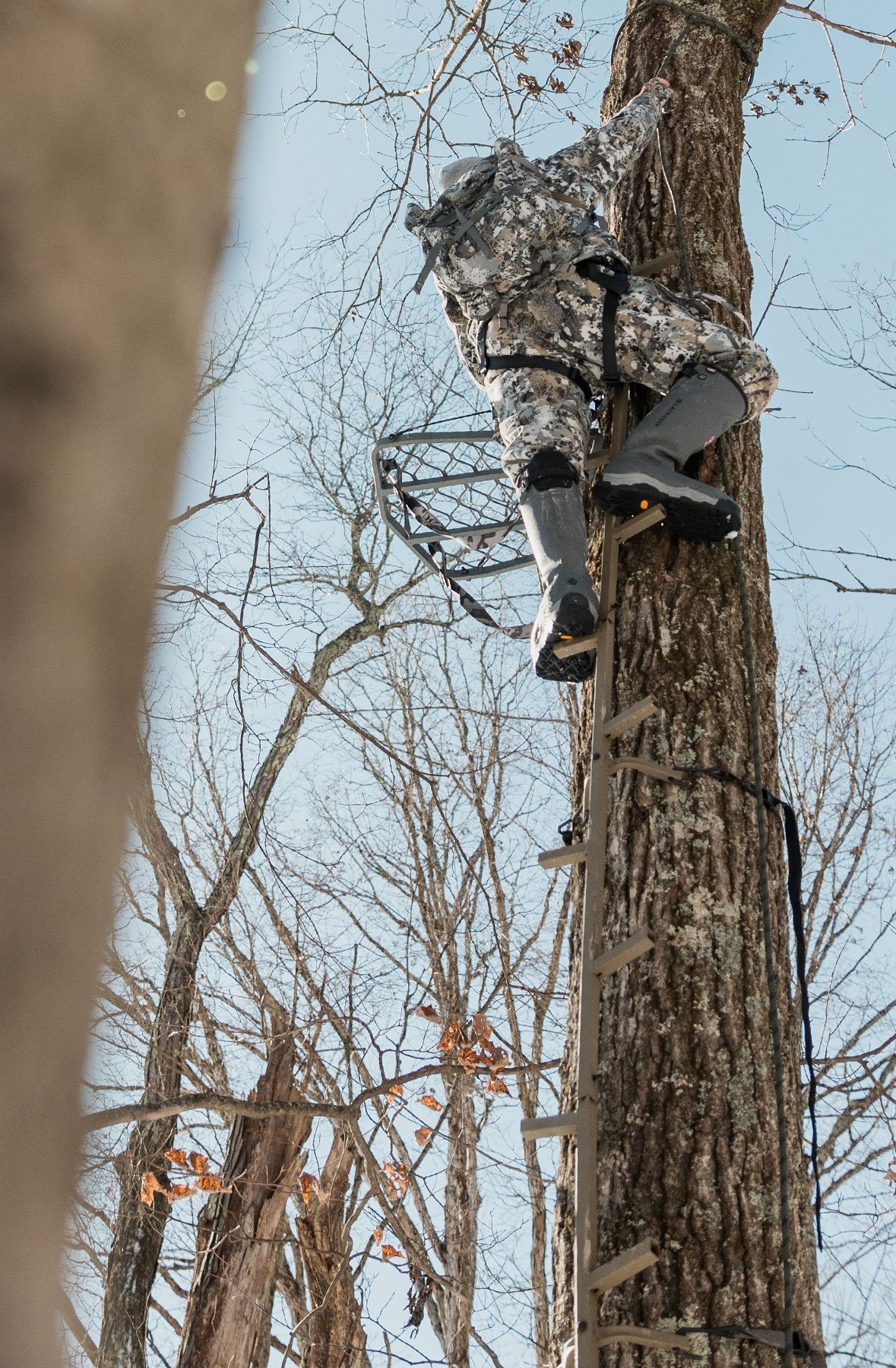 A man in gray boots ascending a tree