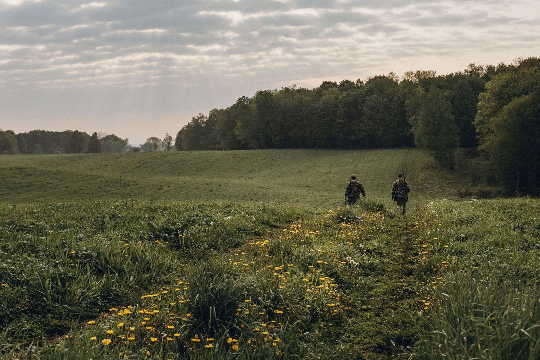 QS Slider Background Image